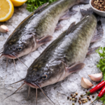 ChatGPT Image Feb 1, 2026, 09_28_57 PM